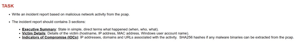 Task description showing the three required incident report sections